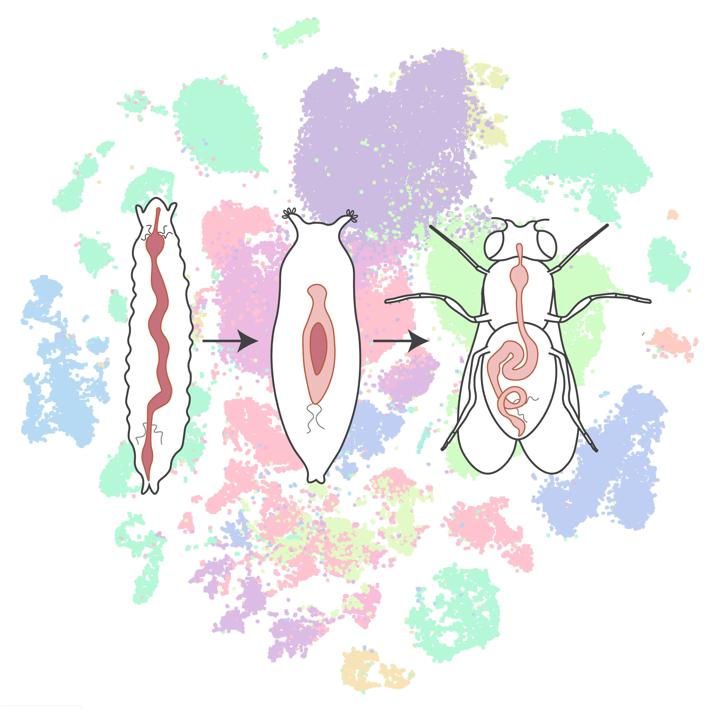 Resources – Hongjie Li Lab